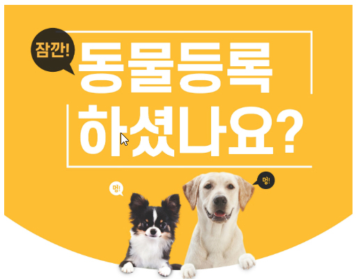 반려동물등록방법