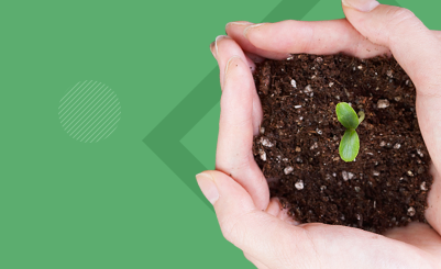 서울보증보험VS주택도시보증공사