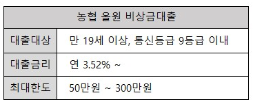 농협 올원 비상금 대출 - 통신등급 대출