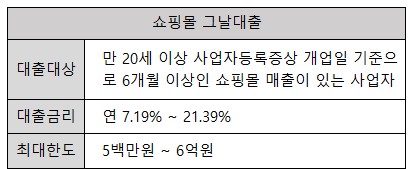 쇼핑몰 그날 대출
