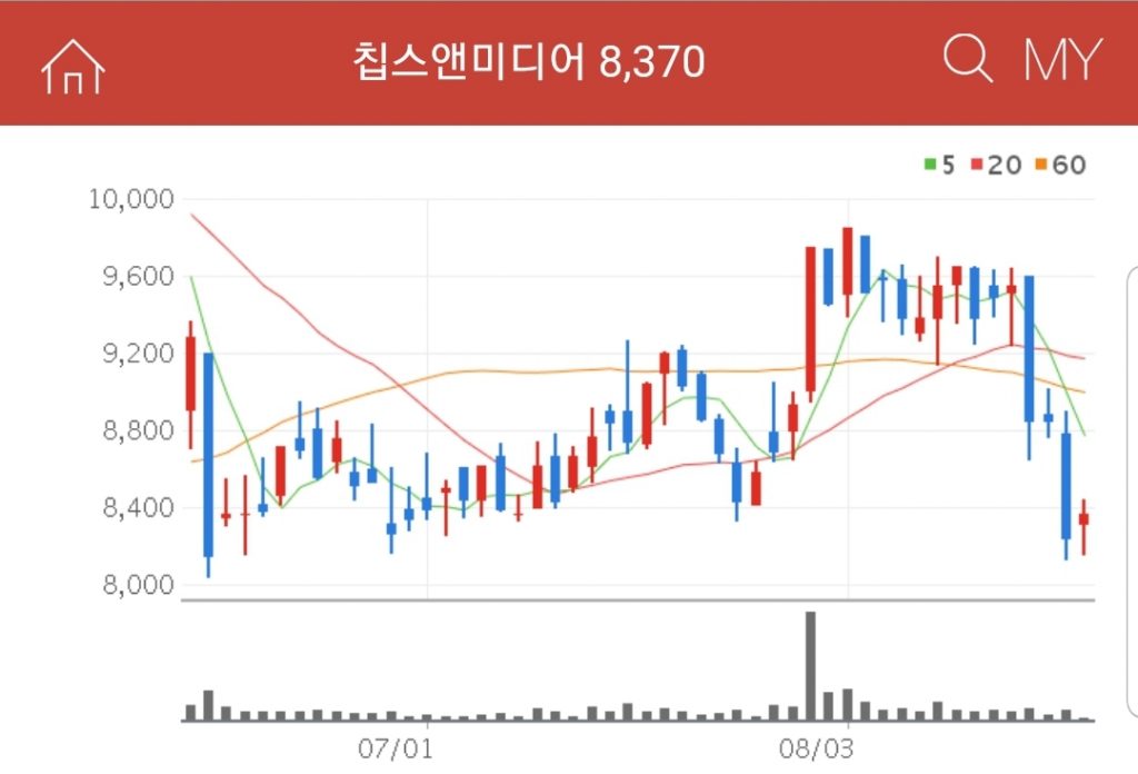 비메모리 반도체 - 칩스앤미디어