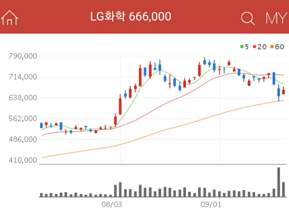 전기차 관련주 - LG화학