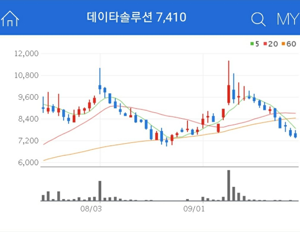 디지털 뉴딜 관련주 - 데이타솔루션