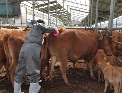 브루셀라병 관련주