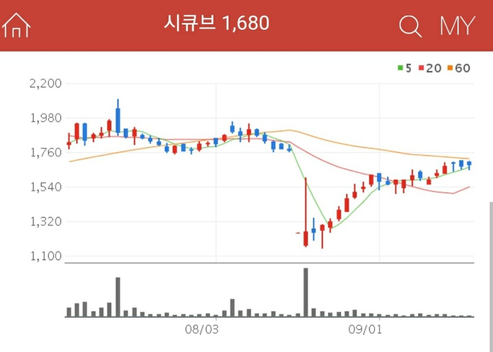 보안 관련주 - 시큐브
