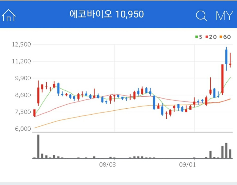 수소차 관련주 - 에코바이오