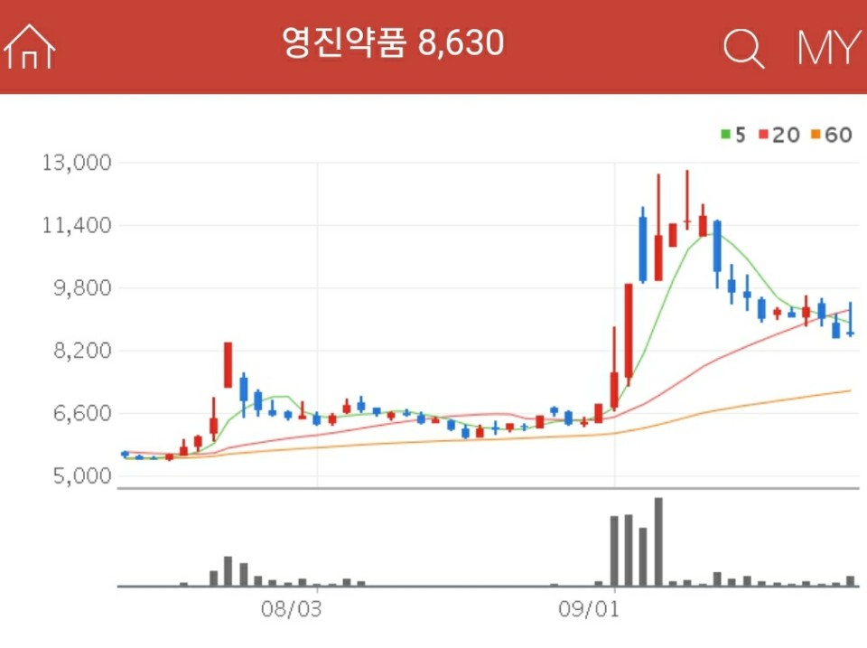 덱사메타손 관련주 - 영진약품