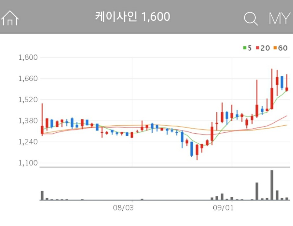 보안 관련주 - 케이사인