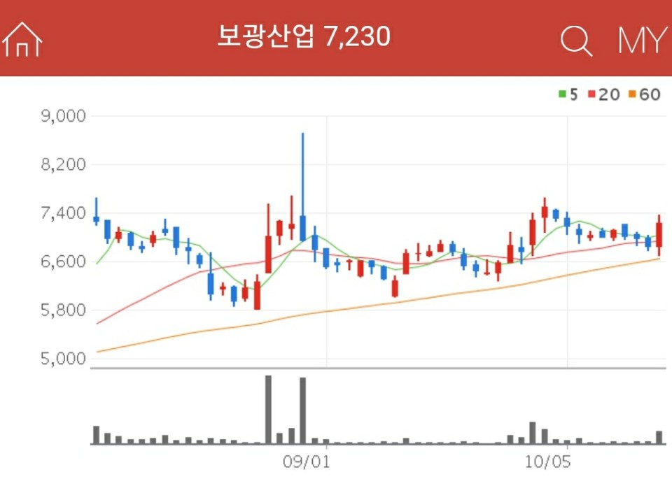 대구신공항 관련주 - 보광산업