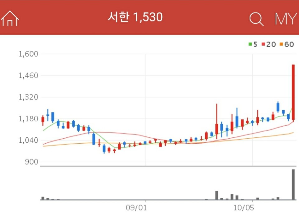 유승민 관련주 - 서한
