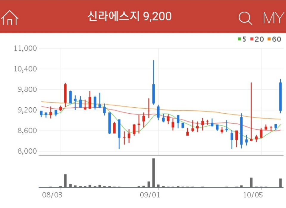 아프리카 돼지열병 관련주 - 신라에스지