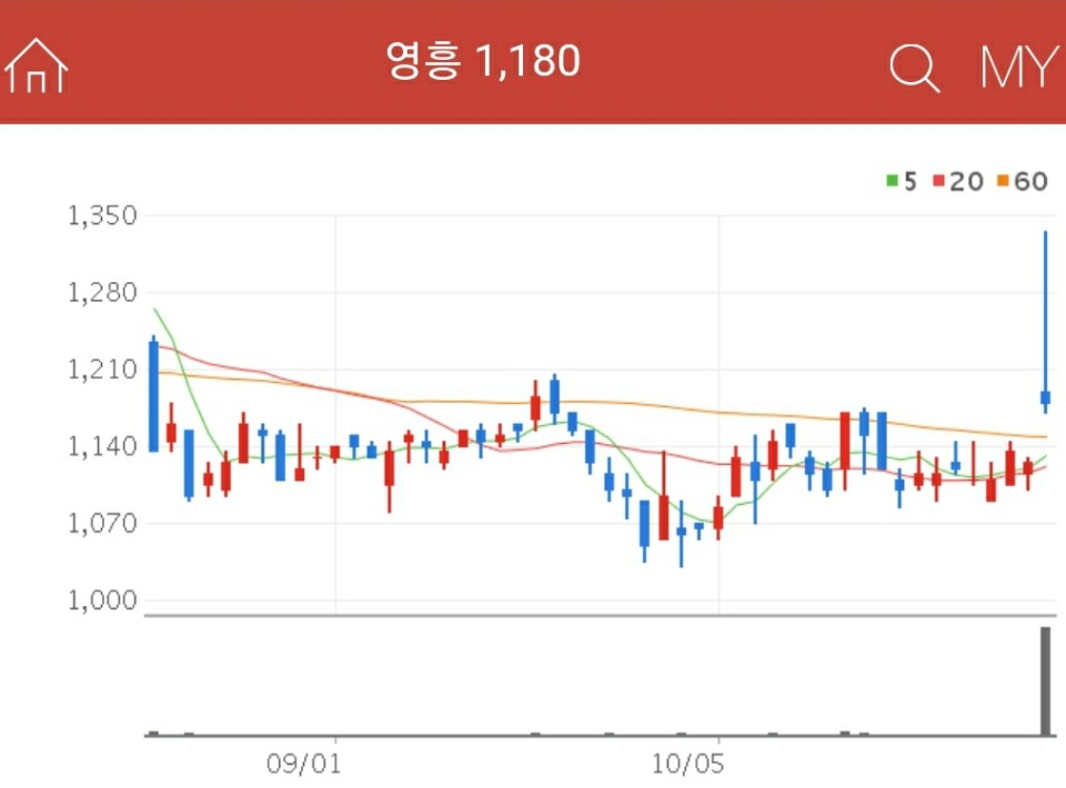 철강 관련주 - 영흥