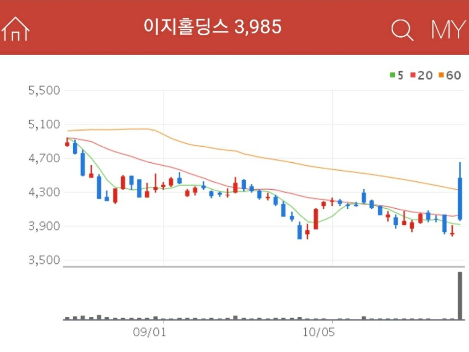 조류독감 관련주 - 이지홀딩스