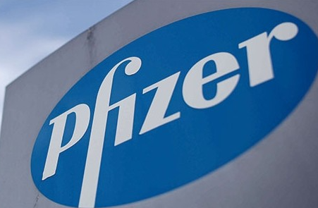 화이자관련주