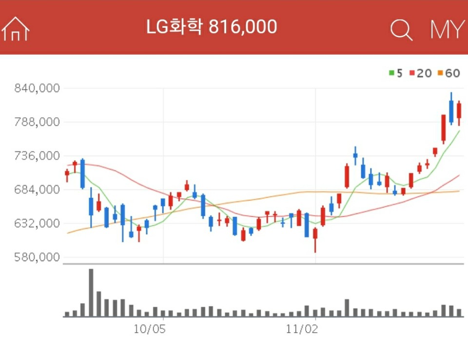테슬라 관련주 - LG화학