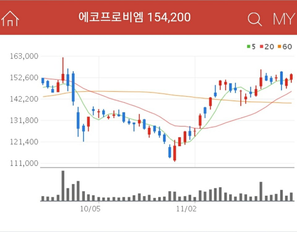 2차전지 소재주 - 에코프로비엠