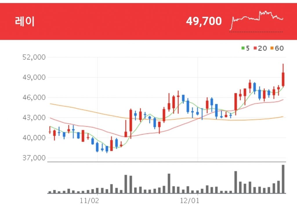 임플란트 관련주 - 레이