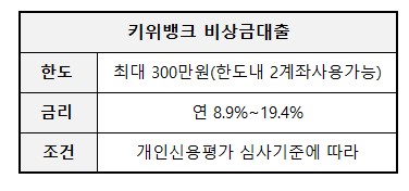 키위소액대출