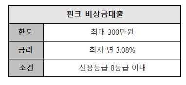 핀크 비상금대출