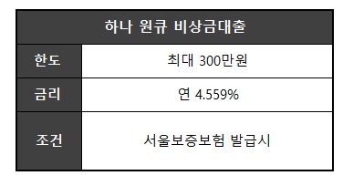 새내기 비상금대출