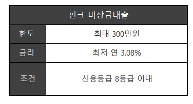 사회초년생 비상금대출