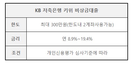 50만원 소액대출
