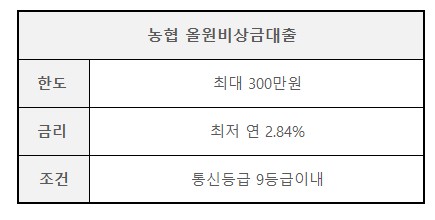 농협 50만원대출