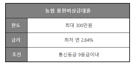 소액 급전 대출