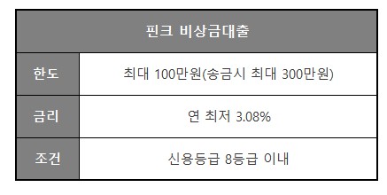 소액 급전 대출 가능한 핀크 비상금대출 조건