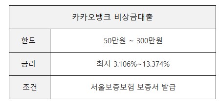 소액신용대출 카카오