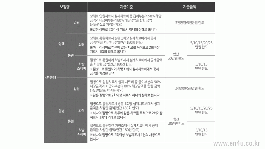 KB실비보험 보장내용
