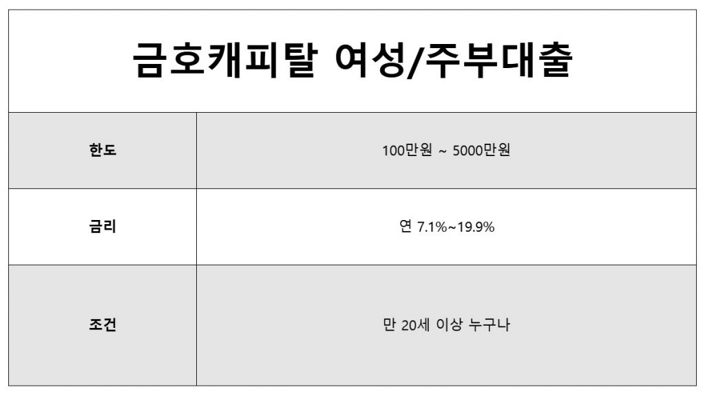 무직자여성대출 무직자 여성대출 금호캐피탈 여성대출 주부대출 무직자대출 비상금대출 소액대출