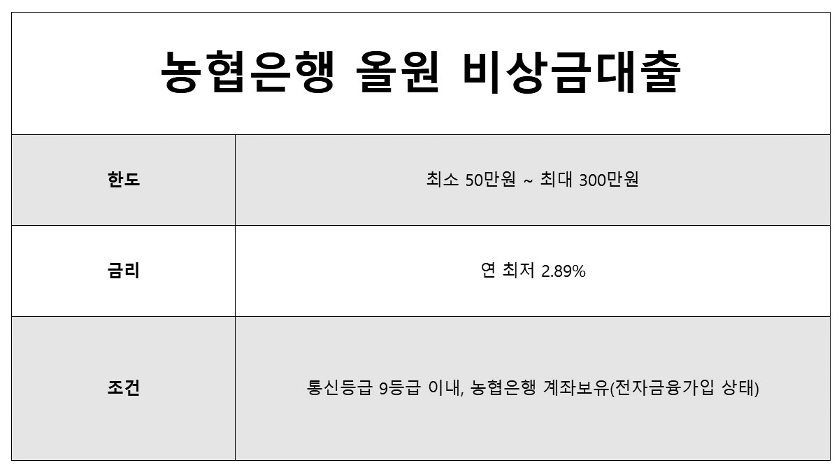 농협올원 비상금대출 소액대출 쉬운곳, 통신등급 대출 한도, 금리, 조건
