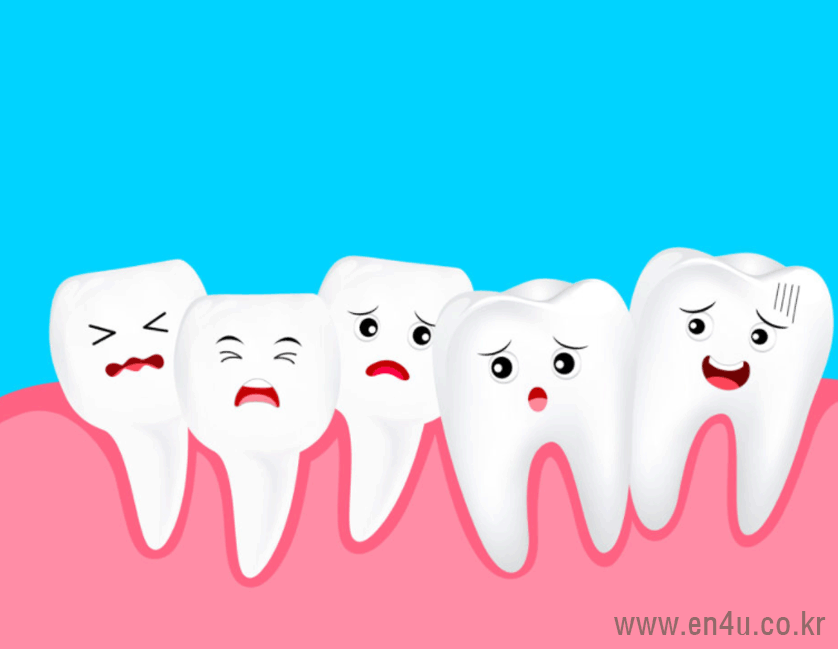 치아보험비교사이트