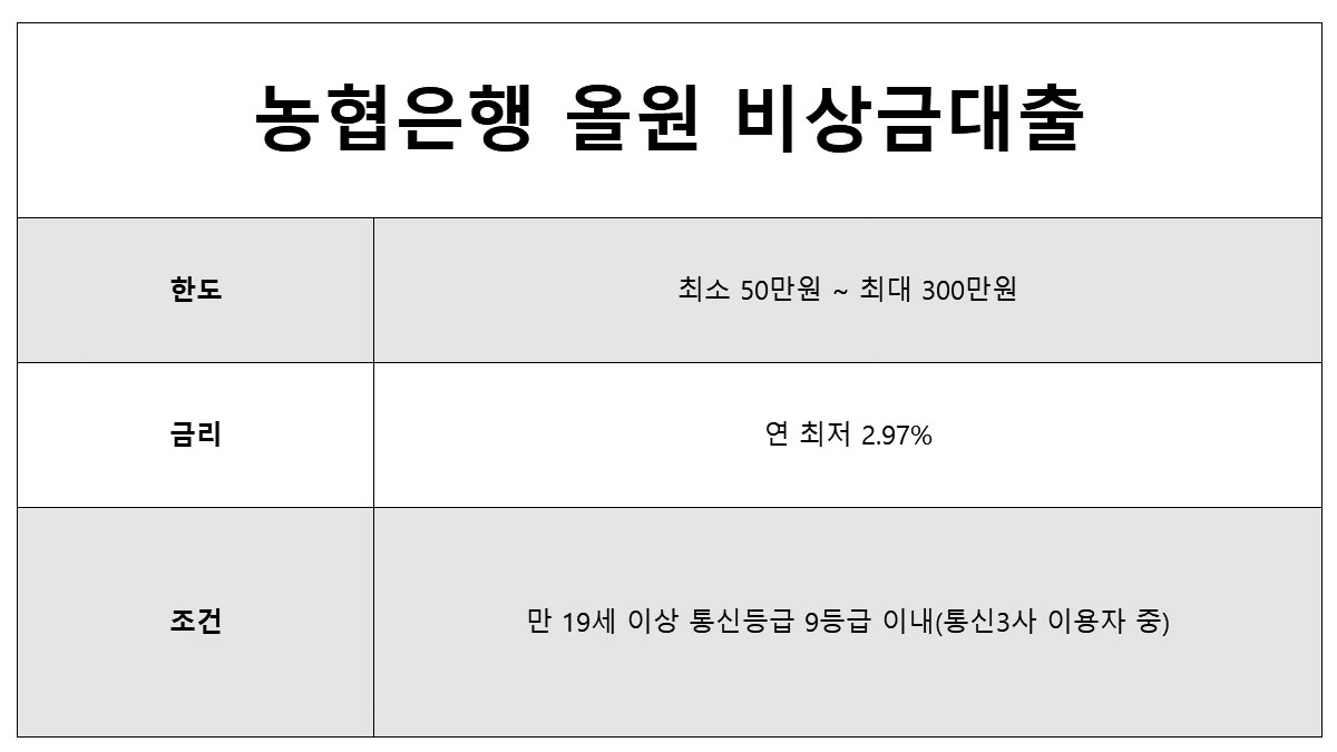 농협 올원 비상금대출 