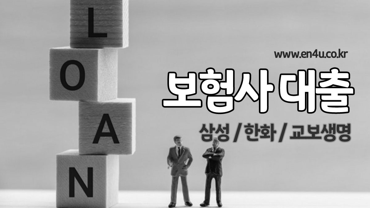 보험 신용대출
