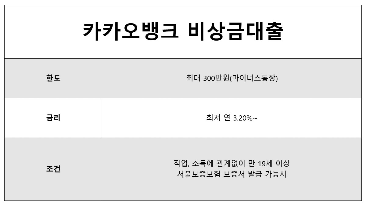 모바일 즉시대출 카카오뱅크 한도 300만원 