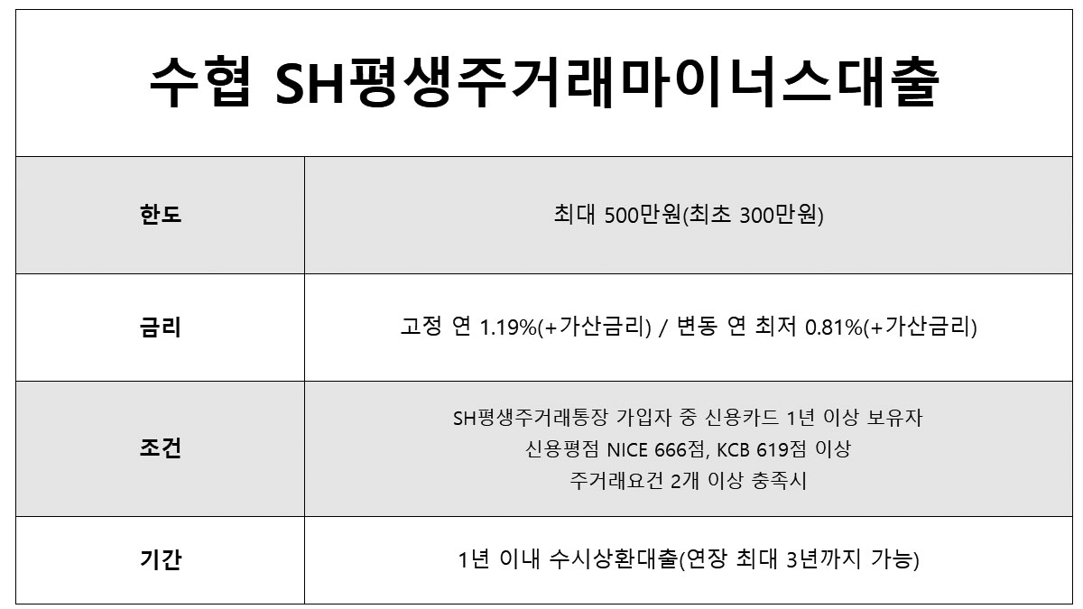 추가대출 가능한 곳 수협은행 마이너스통장