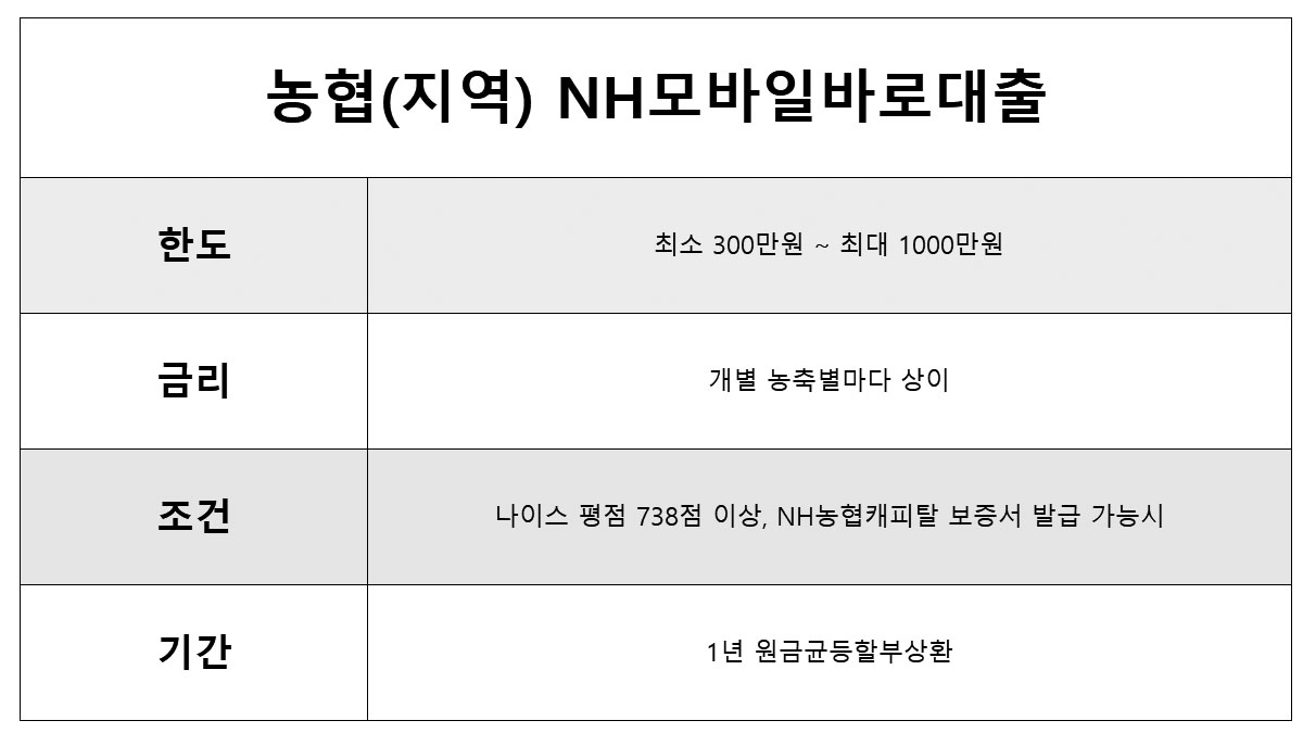 모바일 바로대출 지역농협 2금융 무직자 1000만원 대출