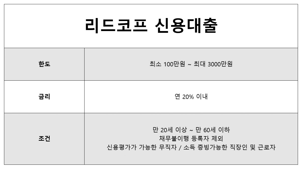 신분증300만원 대출 가능한 곳 리드코프 대부업체 대출