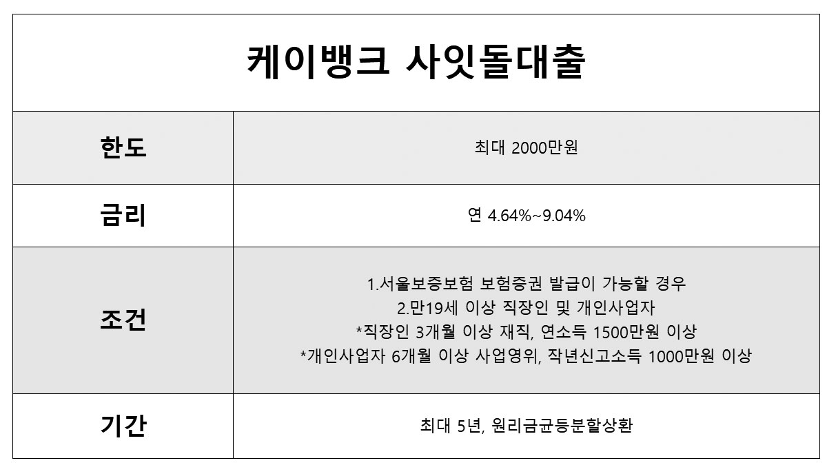 케이뱅크 정부지원대출