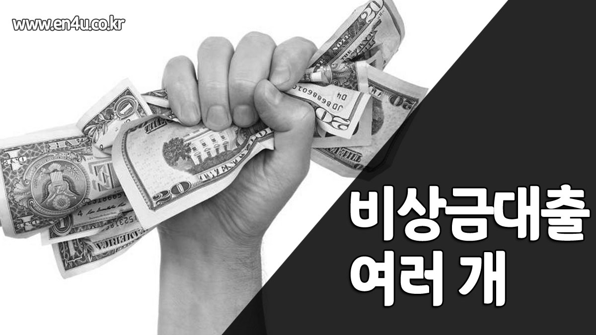 비상금대출 여러개