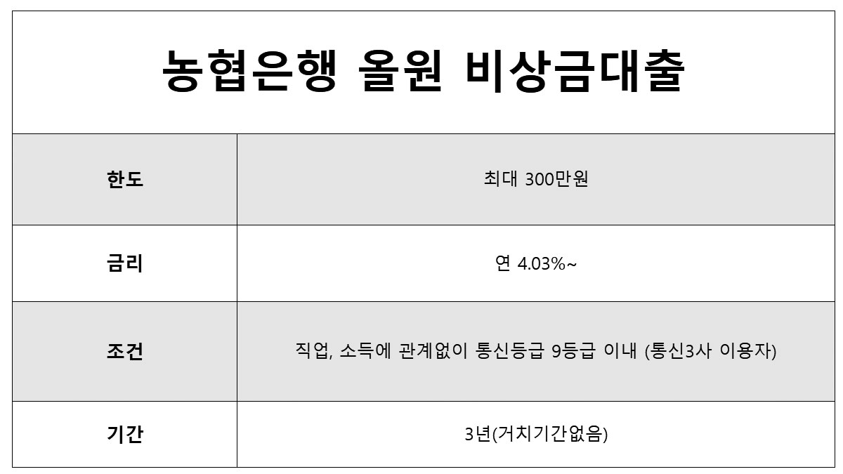 농협 올원 비상금대출