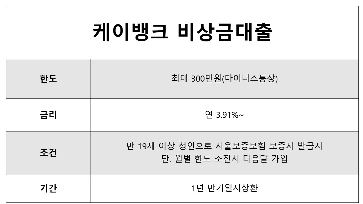 24시간 즉시대출 가능한곳 무직자대출 가능한 케이뱅크 비상금대출