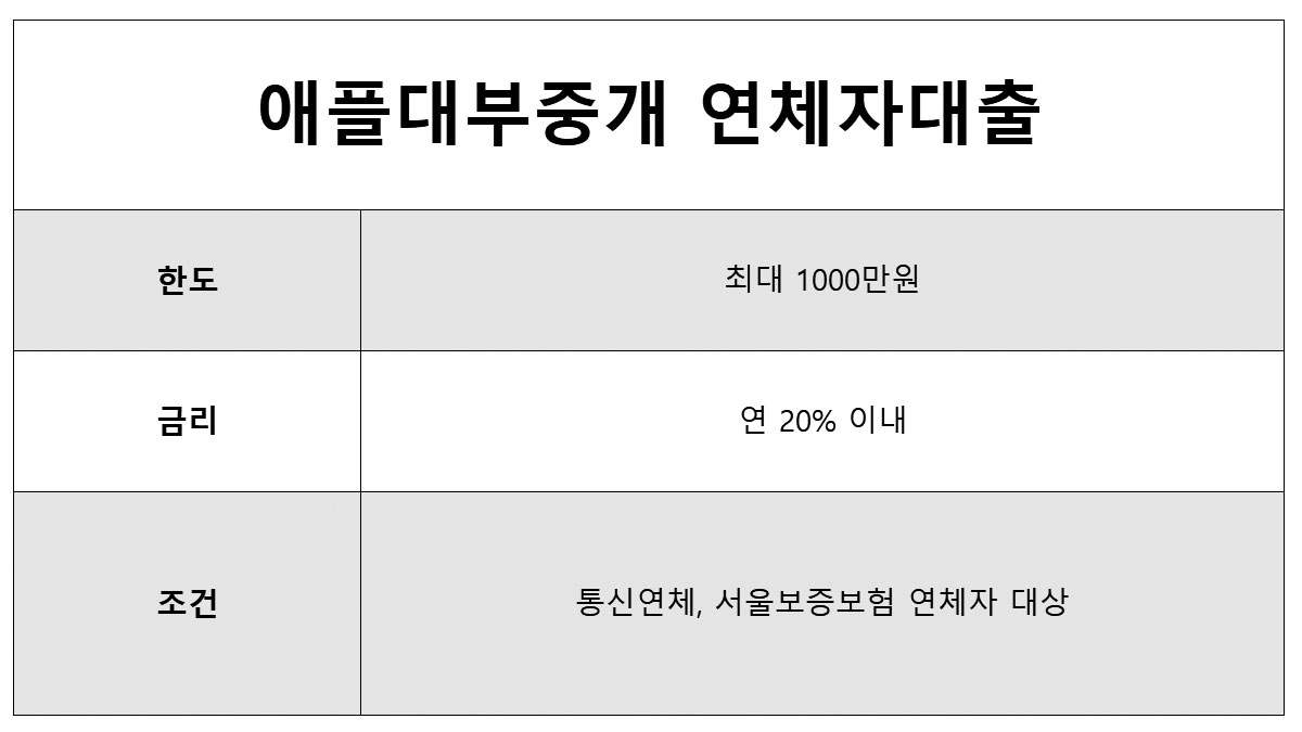 연체중 대출 애플론 연체자대출