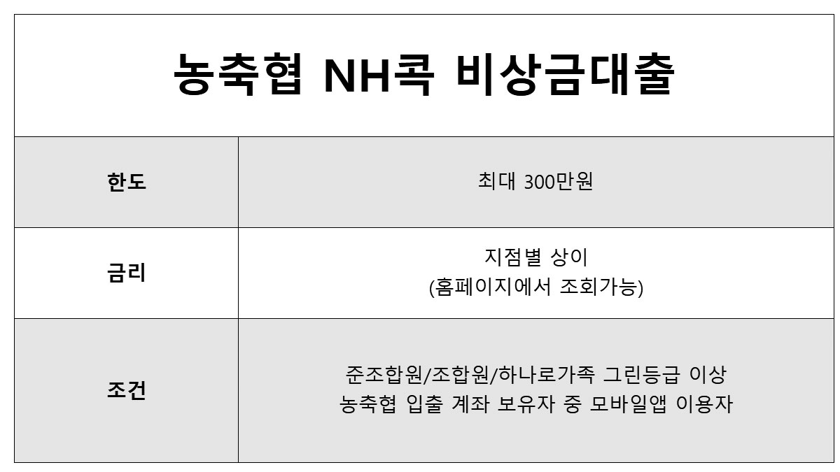 24시간 대출 농축 비상금대출(2금융)