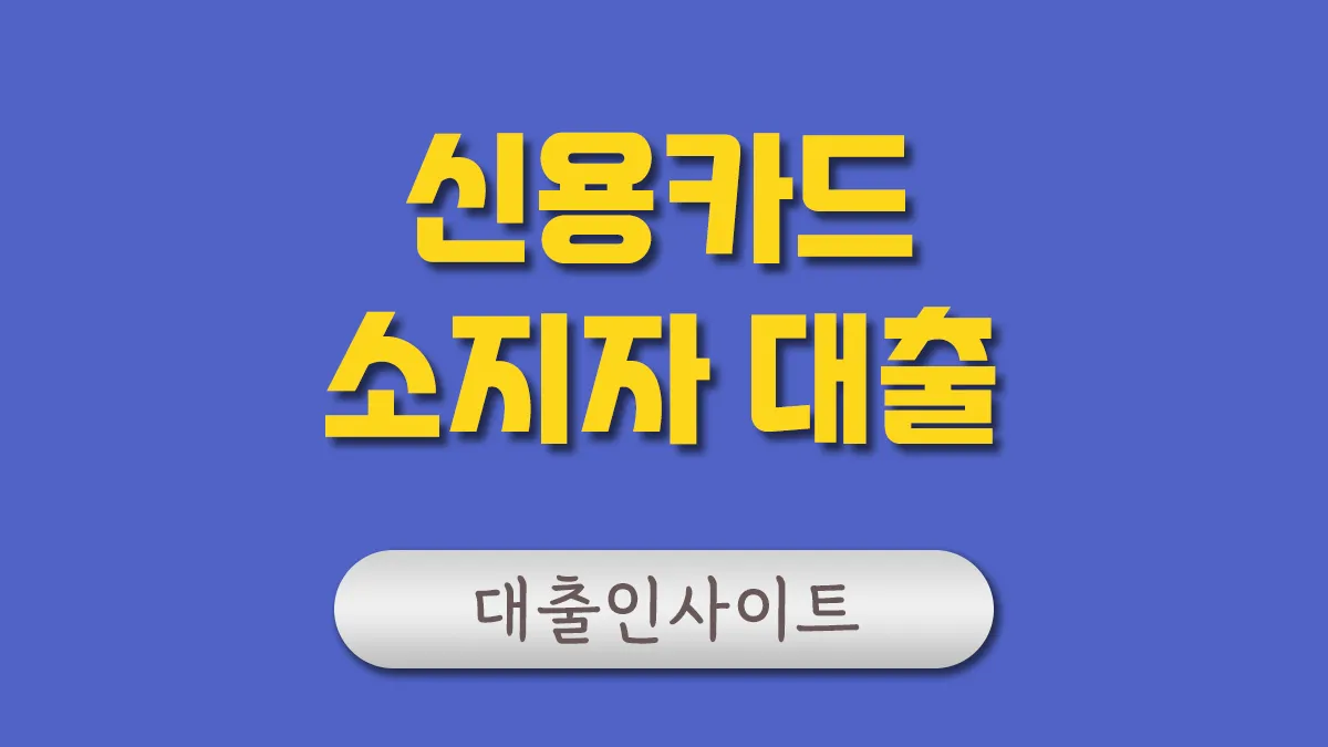 신용카드 소지자 대출