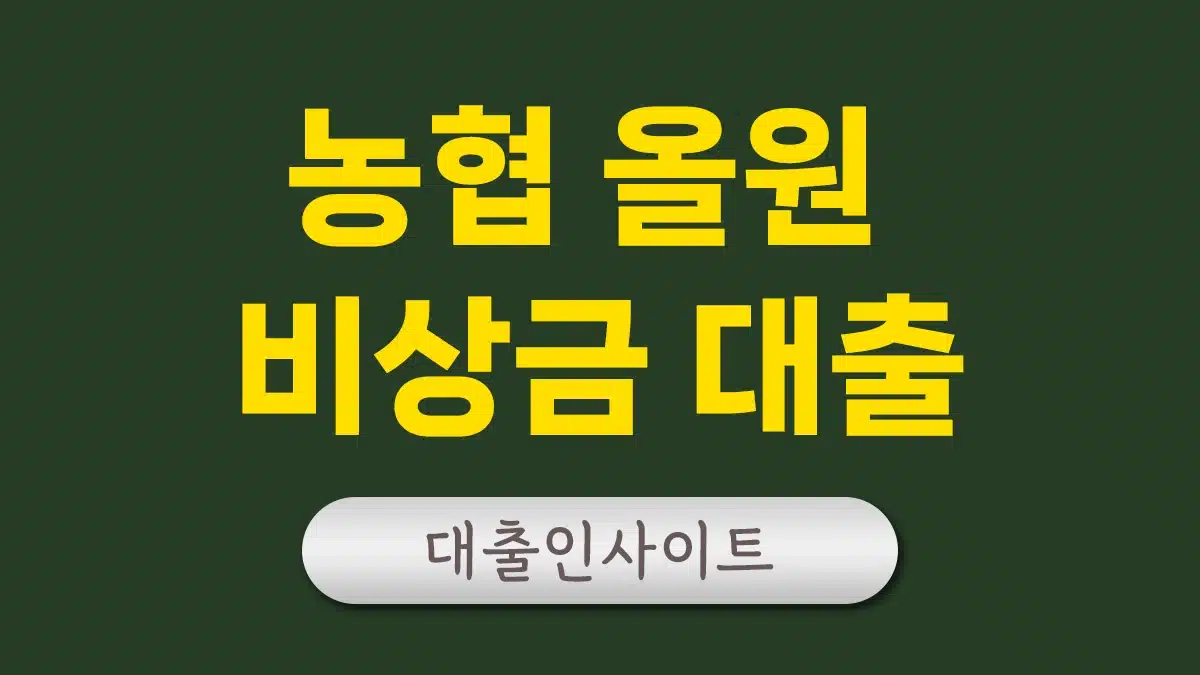 농협 올원 비상금대출 무직자대출