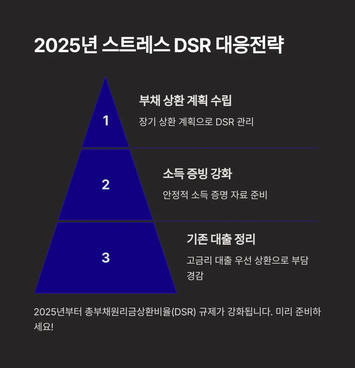 DSR 대응전략